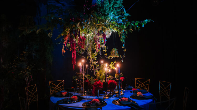 Seeds of Design – APP Wypożyczalnia Dekoracji