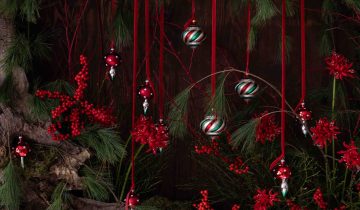 Bądź gotowy na święta, tak szybko nadchodzą!