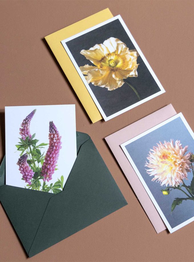 Zestaw pocztówek KWIATY