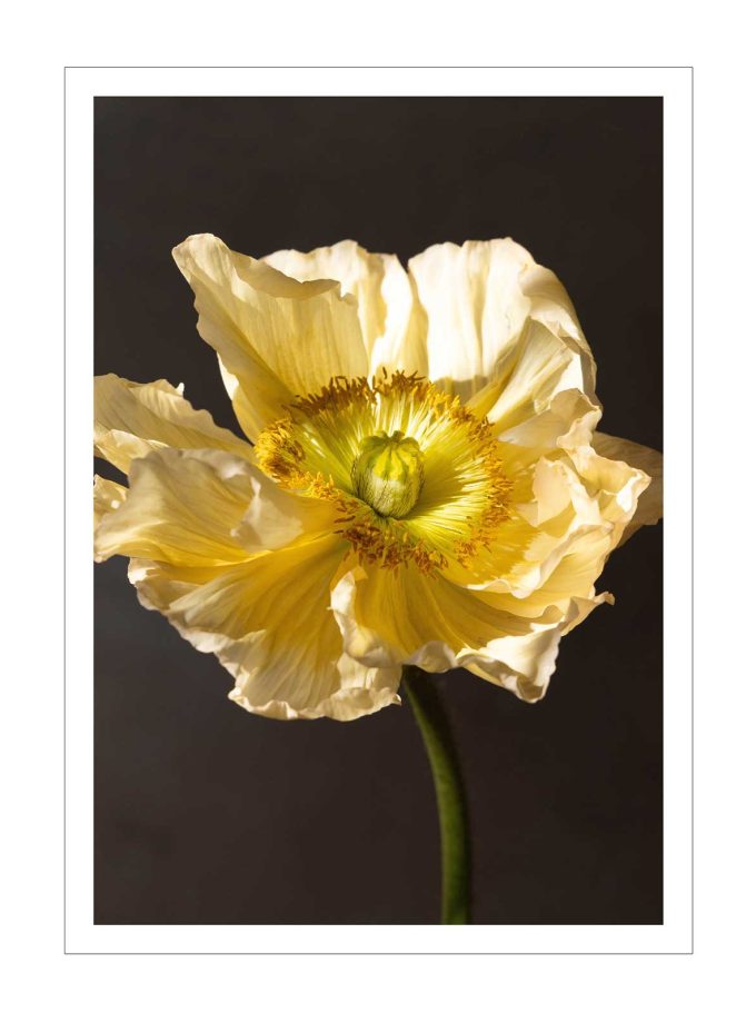 Pocztówka w kopercie MAK