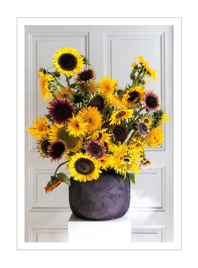 Pocztówka w kopercie SŁONECZNIKI