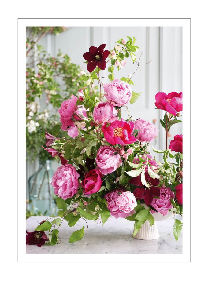 Pocztówka w kopercie PIWONIE