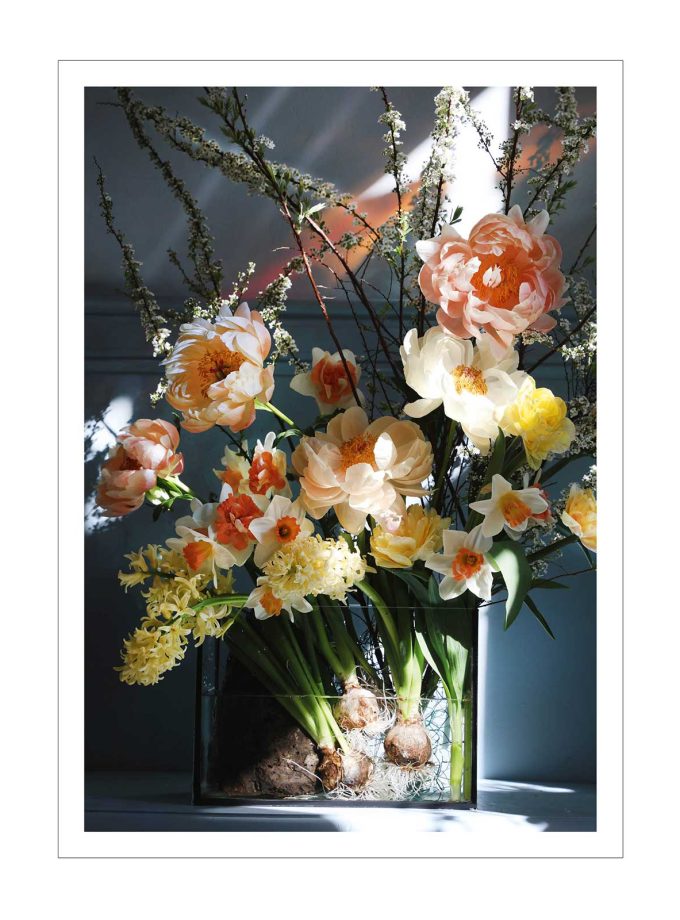 Pocztówka w kopercie WIOSNA